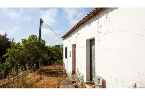 Farm i Lagos, Faro, Lagos - € 850.000 | Ref: VM960 - foto 19