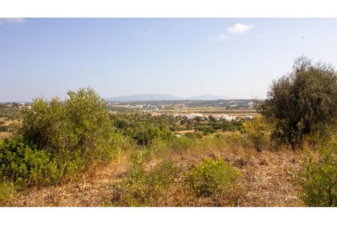 Farm i Lagos, Faro, Lagos - € 850.000 | Ref: VM960 - foto 20