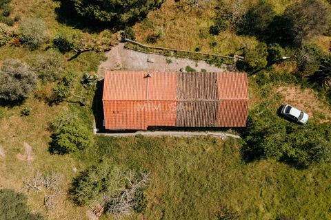 Farm i Lagos, Faro, Lagos - € 850.000 | Ref: VM960 - foto 23