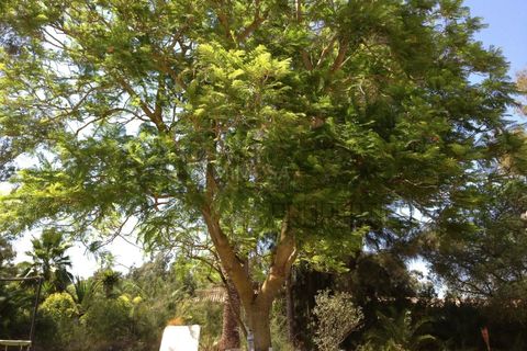 Villa a Alvor, Faro, Alvor - € 1.335.000 | Ref: VM551 - foto 17