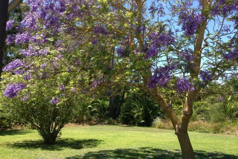 Villa a Alvor, Faro, Alvor - € 1.335.000 | Ref: VM551 - foto 18