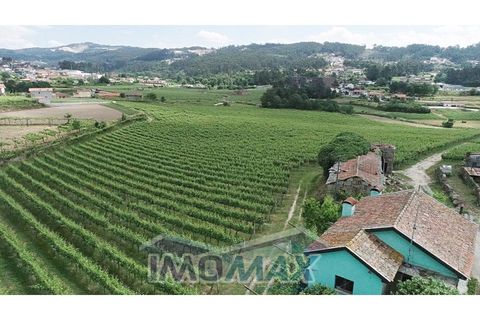 Farm i Valpedre, Porto, Valpedre - € 1.650.000 | Ref: 2026-035 - foto 2