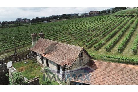 Farm i Valpedre, Porto, Valpedre - € 1.650.000 | Ref: 2026-035 - foto 8