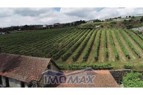 Farm i Valpedre, Porto, Valpedre - € 1.650.000 | Ref: 2026-035 - foto 9