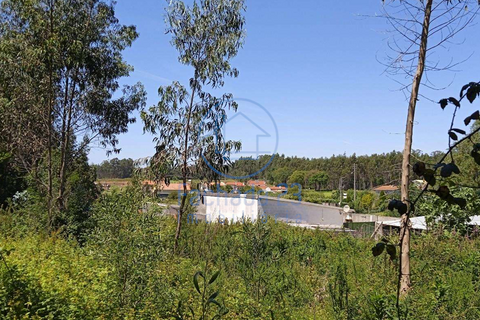 Helårsgrund i Ovar, Aveiro, Ovar - € 72.000 | Ref: 45/26 - foto 5