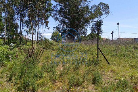 Helårsgrund i Ovar, Aveiro, Ovar - € 72.000 | Ref: 45/26 - foto 7