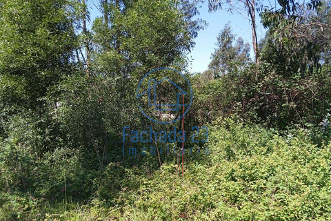 Helårsgrund i Ovar, Aveiro, Ovar - € 72.000 | Ref: 45/26 - foto 8