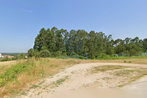Terra a Angeja, Aveiro, Angeja - € 230.000 | Ref: 48/26 - foto 4