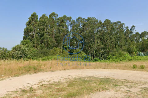 Terra a Angeja, Aveiro, Angeja - € 230.000 | Ref: 48/26 - foto 6