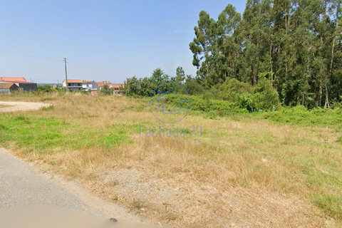 Terra a Angeja, Aveiro, Angeja - € 230.000 | Ref: 48/26 - foto 7