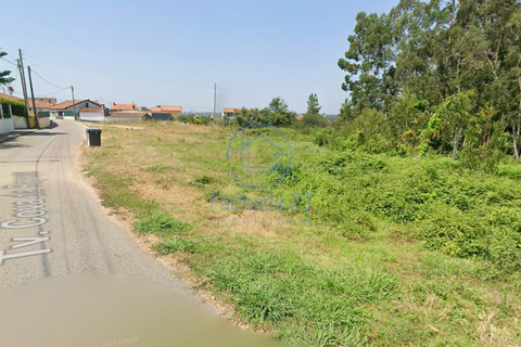 Terra a Angeja, Aveiro, Angeja - € 230.000 | Ref: 48/26 - foto 8