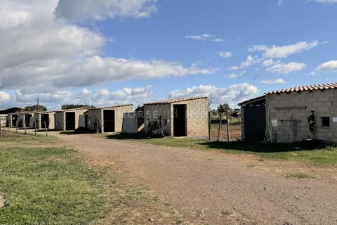 Landejendom i Beziers, Herault, Beziers - € 445.000 | Ref: 2812-ANG - foto 3