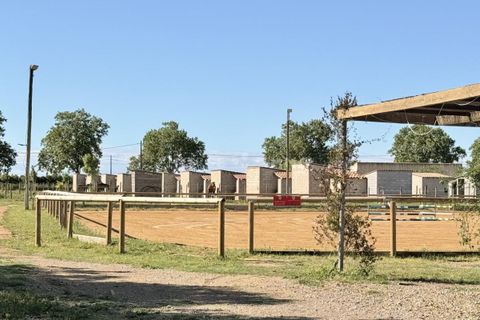 Landejendom i Beziers, Herault, Beziers - € 445.000 | Ref: 2812-ANG - foto 8