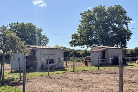 Landejendom i Beziers, Herault, Beziers - € 445.000 | Ref: 2812-ANG - foto 13