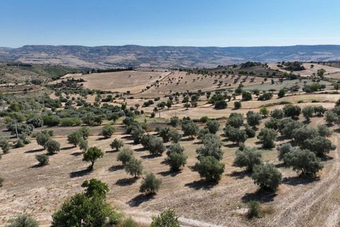 Villa i Modica, Ragusa, Modica - € 990.000 | Ref: Z 41 - foto 12