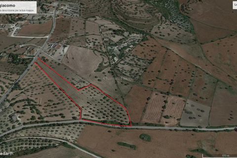 Villa i Modica, Ragusa, Modica - € 990.000 | Ref: Z 41 - foto 14
