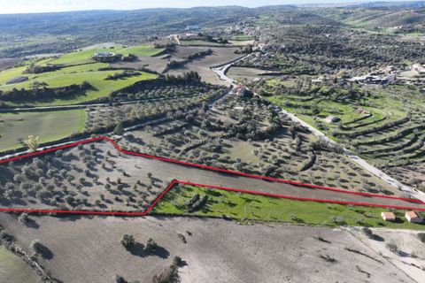 Villa i Modica, Ragusa, Modica - € 990.000 | Ref: Z 41 - foto 15