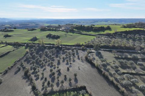 Villa i Modica, Ragusa, Modica - € 990.000 | Ref: Z 41 - foto 16