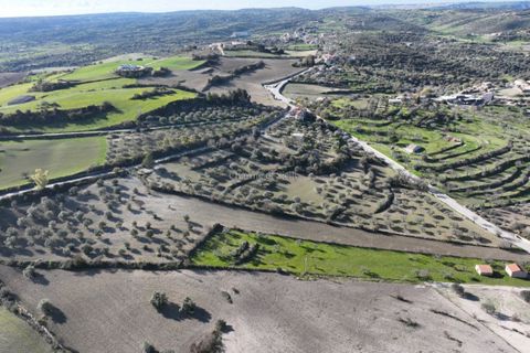 Villa i Modica, Ragusa, Modica - € 990.000 | Ref: Z 41 - foto 17