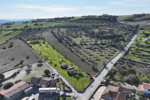 Villa i Modica, Ragusa, Modica - € 990.000 | Ref: Z 41 - foto 18