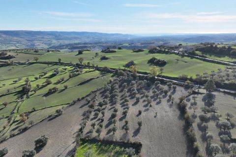 Villa i Modica, Ragusa, Modica - € 990.000 | Ref: Z 41 - foto 20