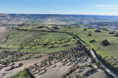 Villa i Modica, Ragusa, Modica - € 990.000 | Ref: Z 41 - foto 21