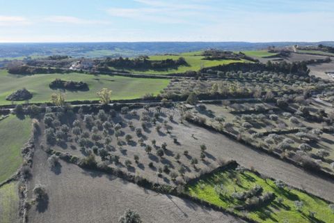 Villa i Modica, Ragusa, Modica - € 990.000 | Ref: Z 41 - foto 22