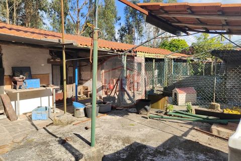 Villa i Nogueira do Cravo e Pindelo, Aveiro, Nogueira do Cravo e Pindelo - € 379.000 | Ref: HAB_79 - foto 37