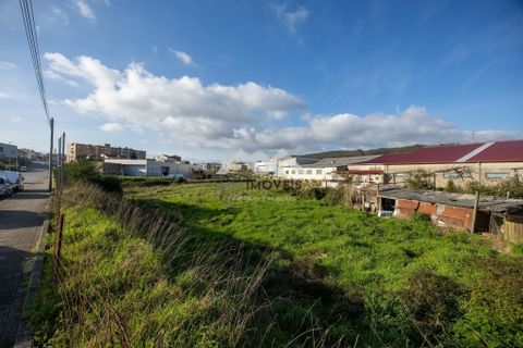 Helårsgrund i Valongo, Porto, Valongo - € 350.000 | Ref: MM184/26VLG/CS(1) - foto 6