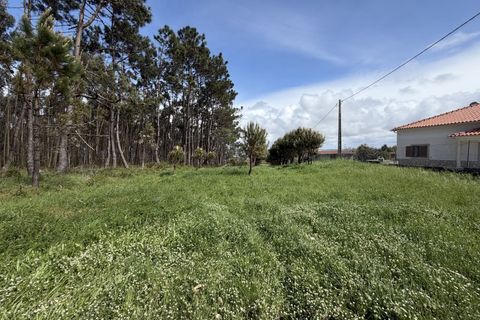Helårsgrund i Santo Onofre e Serra do Bouro, Leiria, Santo Onofre e Serra do Bouro - € 90.000 | Ref: FL006-26 - foto 1