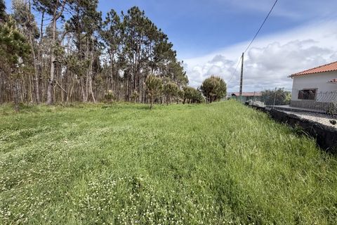 Helårsgrund i Santo Onofre e Serra do Bouro, Leiria, Santo Onofre e Serra do Bouro - € 90.000 | Ref: FL006-26 - foto 2