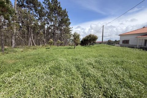 Helårsgrund i Santo Onofre e Serra do Bouro, Leiria, Santo Onofre e Serra do Bouro - € 90.000 | Ref: FL006-26 - foto 3