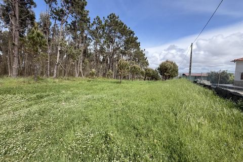 Helårsgrund i Santo Onofre e Serra do Bouro, Leiria, Santo Onofre e Serra do Bouro - € 90.000 | Ref: FL006-26 - foto 4