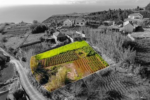 Helårsgrund i Calheta, Madeira, Calheta - € 185.000 | Ref: C0216-03355 - foto 15