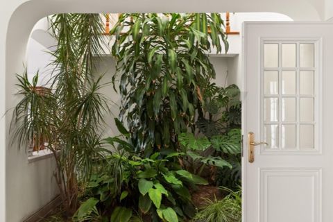 Villa i Cascais, Lisbon, Cascais - € 2.300.000 | Ref: KWPT-033279 - foto 15