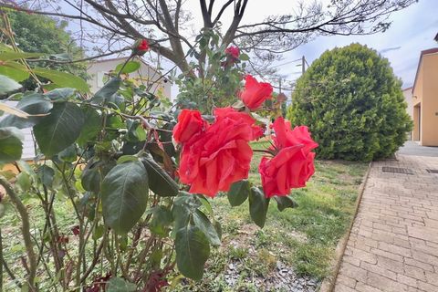 Villa i Maringues, Puy-de-Dome, Maringues - € 334.000 | Ref: 340931496621 - foto 31