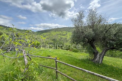 Villa i Seillans, Var, Seillans - € 1.249.000 | Ref: 340935217842 - foto 30