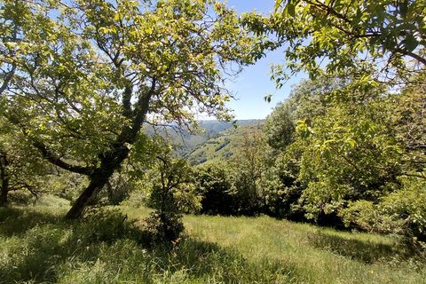 Villa i Junhac, Cantal, Junhac - € 131.000 | Ref: 340932728897 - foto 7