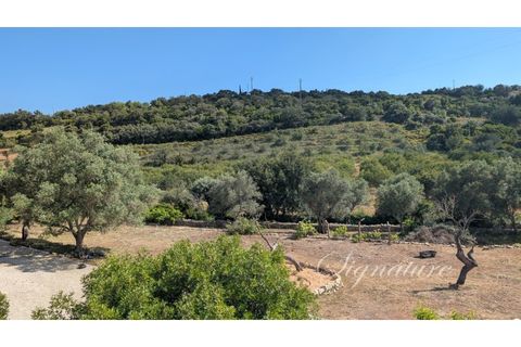 Villa i Estoi, Faro, Estoi - € 875.000 | Ref: SQ-2136 - foto 39