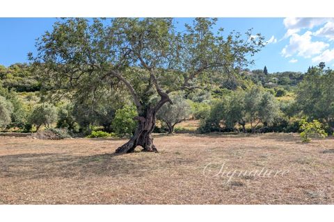 Villa i Estoi, Faro, Estoi - € 875.000 | Ref: SQ-2136 - foto 43