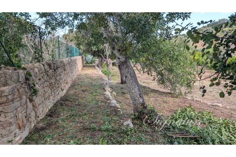 Villa i Estoi, Faro, Estoi - € 875.000 | Ref: SQ-2136 - foto 45