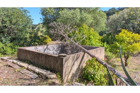 Villa i Estoi, Faro, Estoi - € 875.000 | Ref: SQ-2136 - foto 46