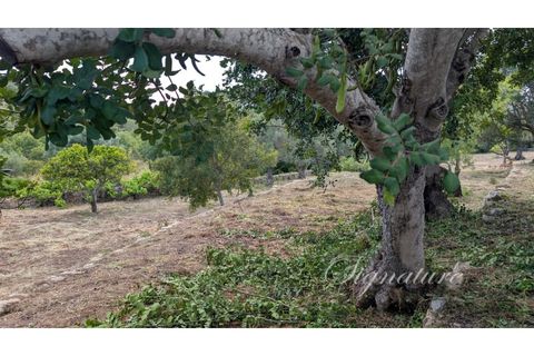 Villa i Estoi, Faro, Estoi - € 875.000 | Ref: SQ-2136 - foto 47