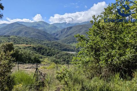 Tomt i Reynès, Pyrenees-Orientales, Reynès - € 81 000 | Ref: 1183 - foto 4