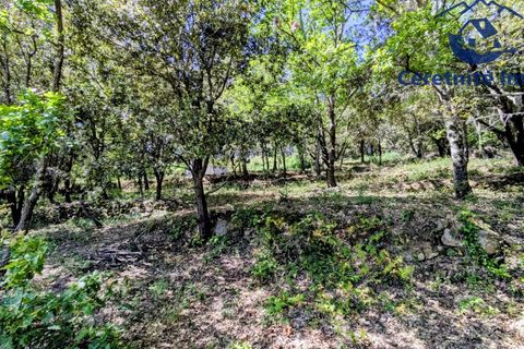 Tomt i Reynès, Pyrenees-Orientales, Reynès - € 81 000 | Ref: 1183 - foto 11