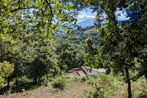 Tomt i Reynès, Pyrenees-Orientales, Reynès - € 81 000 | Ref: 1183 - foto 14