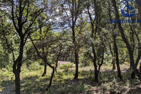 Tomt i Reynès, Pyrenees-Orientales, Reynès - € 81 000 | Ref: 1183 - foto 17