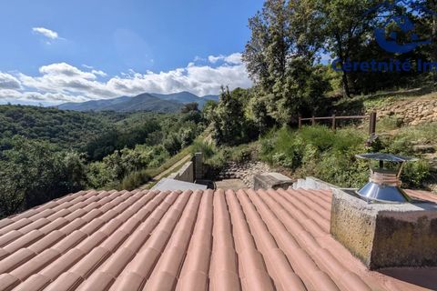 Tomt i Reynès, Pyrenees-Orientales, Reynès - € 81 000 | Ref: 1183 - foto 18