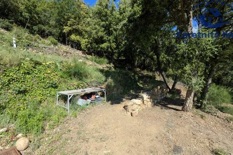 Tomt i Reynès, Pyrenees-Orientales, Reynès - € 81 000 | Ref: 1183 - foto 23
