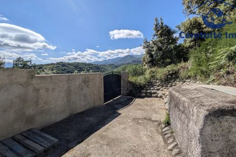 Tomt i Reynès, Pyrenees-Orientales, Reynès - € 81 000 | Ref: 1183 - foto 24